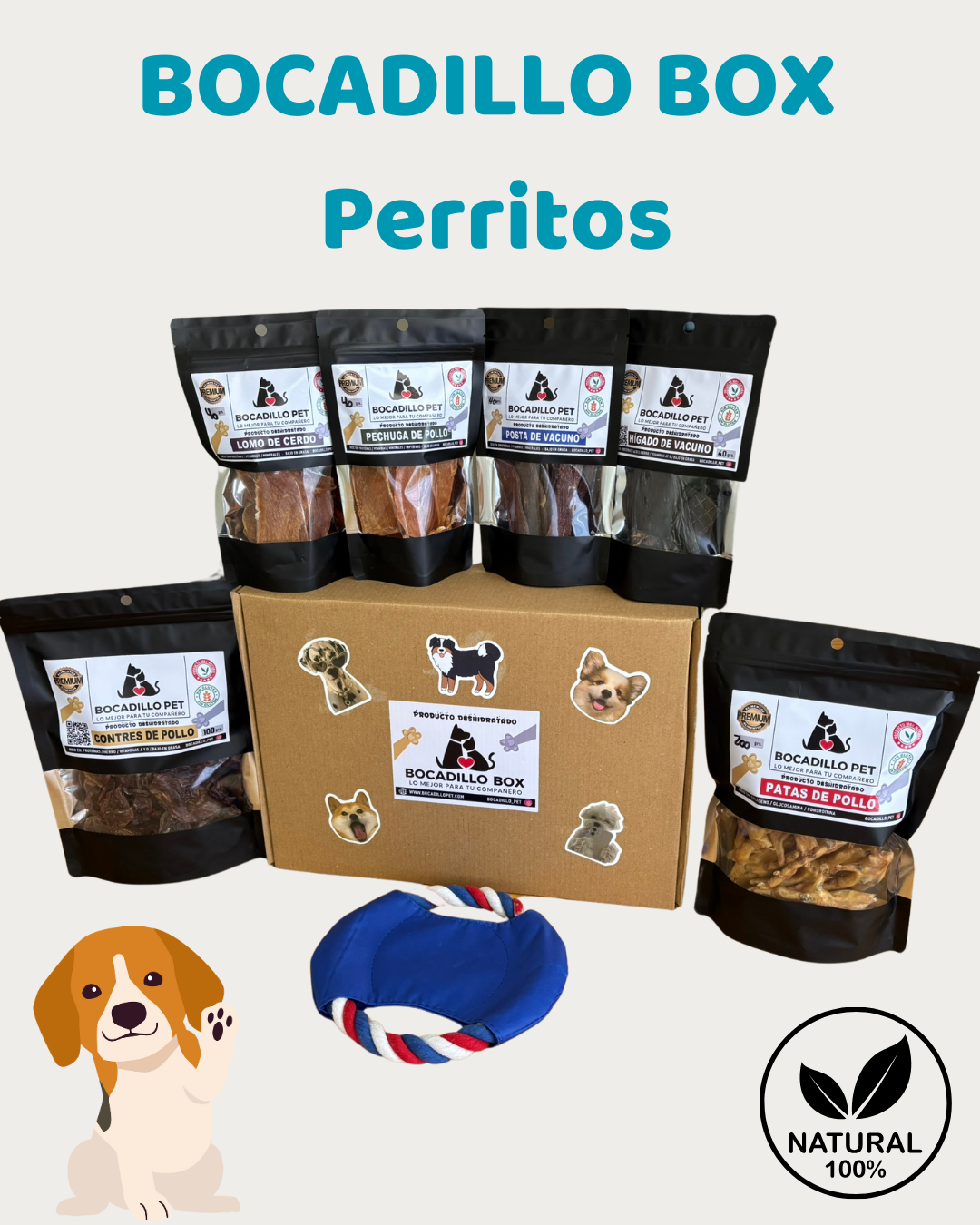 Bocadillo Box Perritos + Juguete SORPRESA de REGALO !
