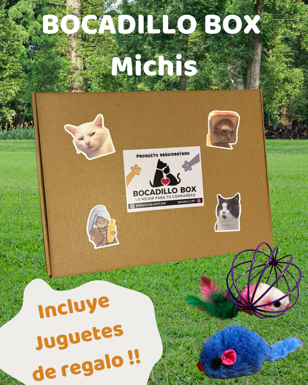 Bocadillo Box Michis + Juguete de REGALO !