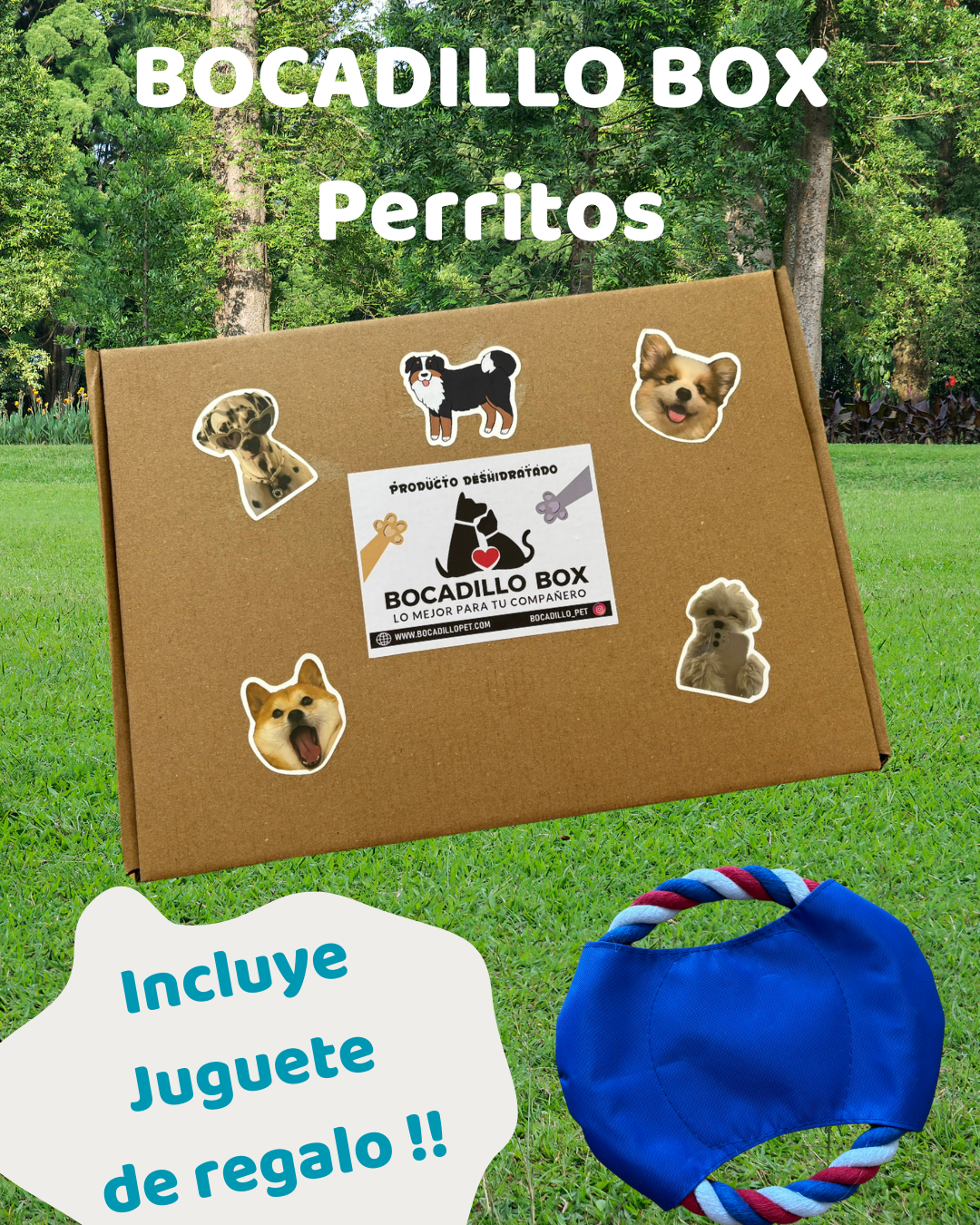 Bocadillo Box Perritos + Juguete SORPRESA de REGALO !