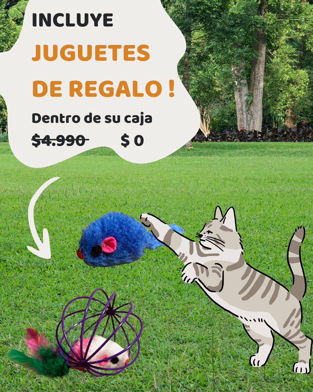 Bocadillo Box Michis + Juguete de REGALO !
