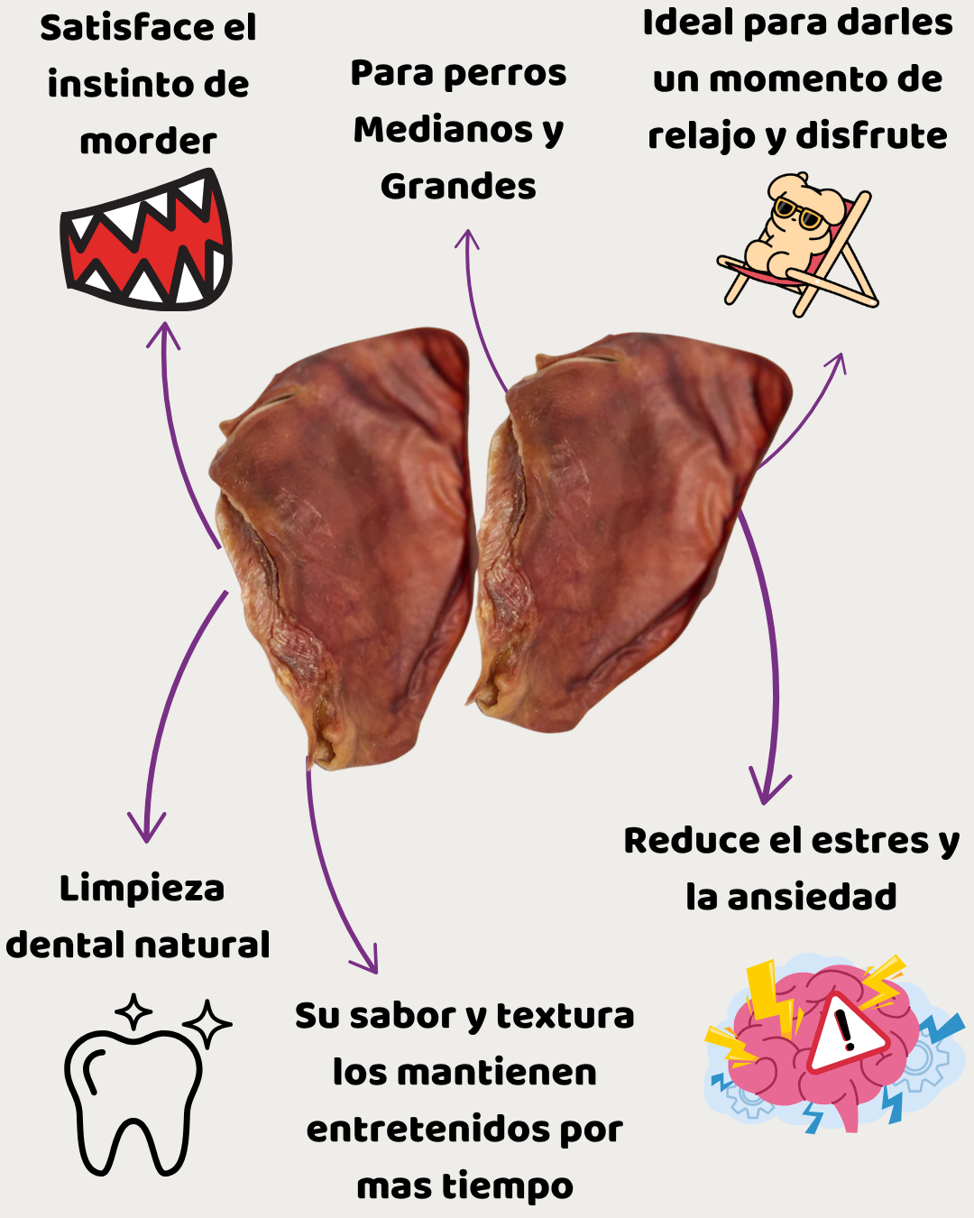 🐷 Orejas de Cerdo