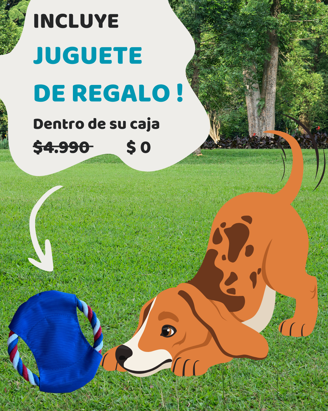 Bocadillo Box Perritos + Juguete SORPRESA de REGALO !