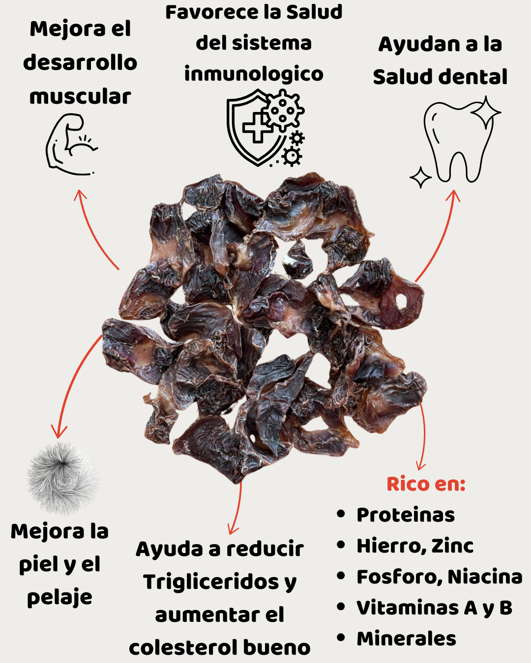 Contres de Pollo 100 grs / 20 unid. app