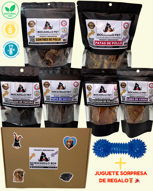 Bocadillo Box Perritos + Juguete SORPRESA de REGALO !