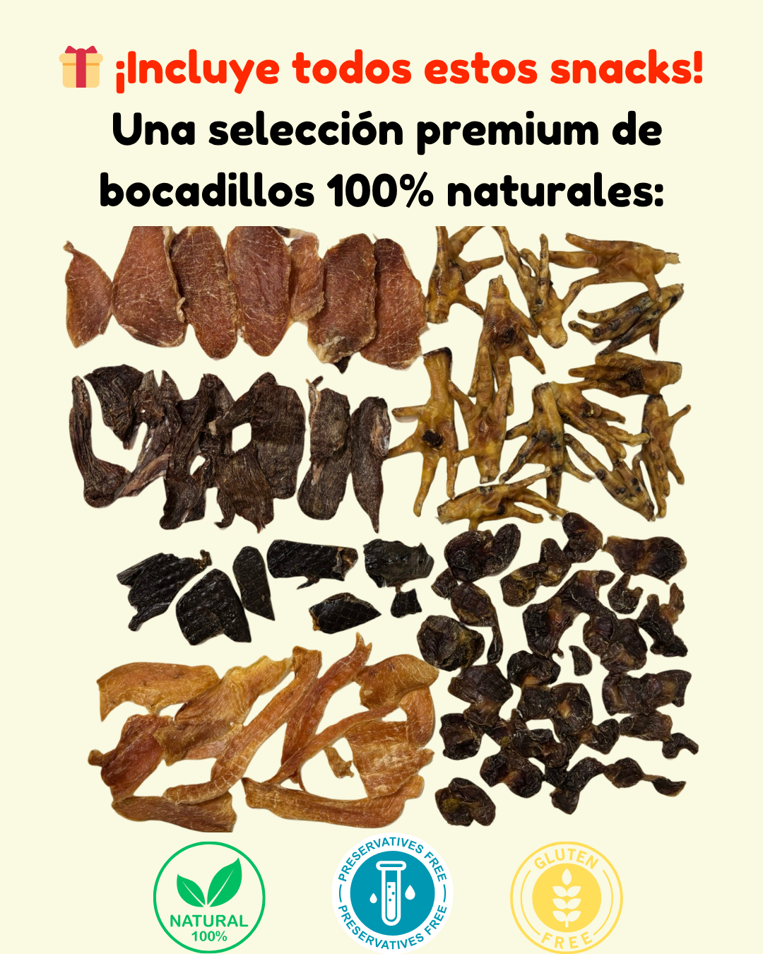 Bocadillo Box Perritos + Juguete SORPRESA de REGALO !