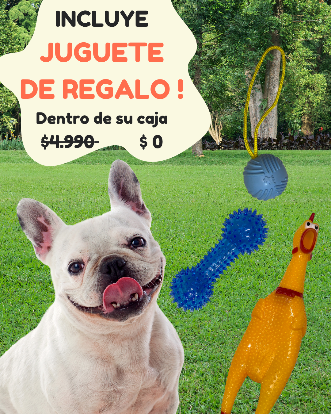 Bocadillo Box Perritos + Juguete SORPRESA de REGALO !