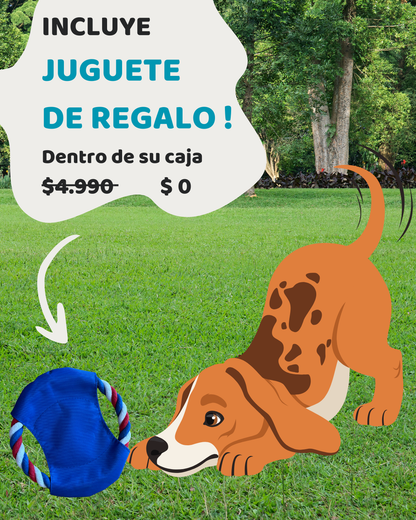Bocadillo Box Perritos + Juguete SORPRESA de REGALO !
